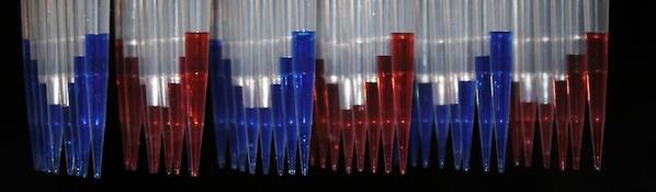 HTS - High Throughput Screening